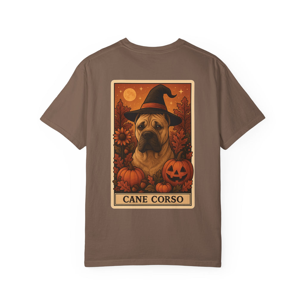 Copy of Unisex Garment-Dyed T-shirt