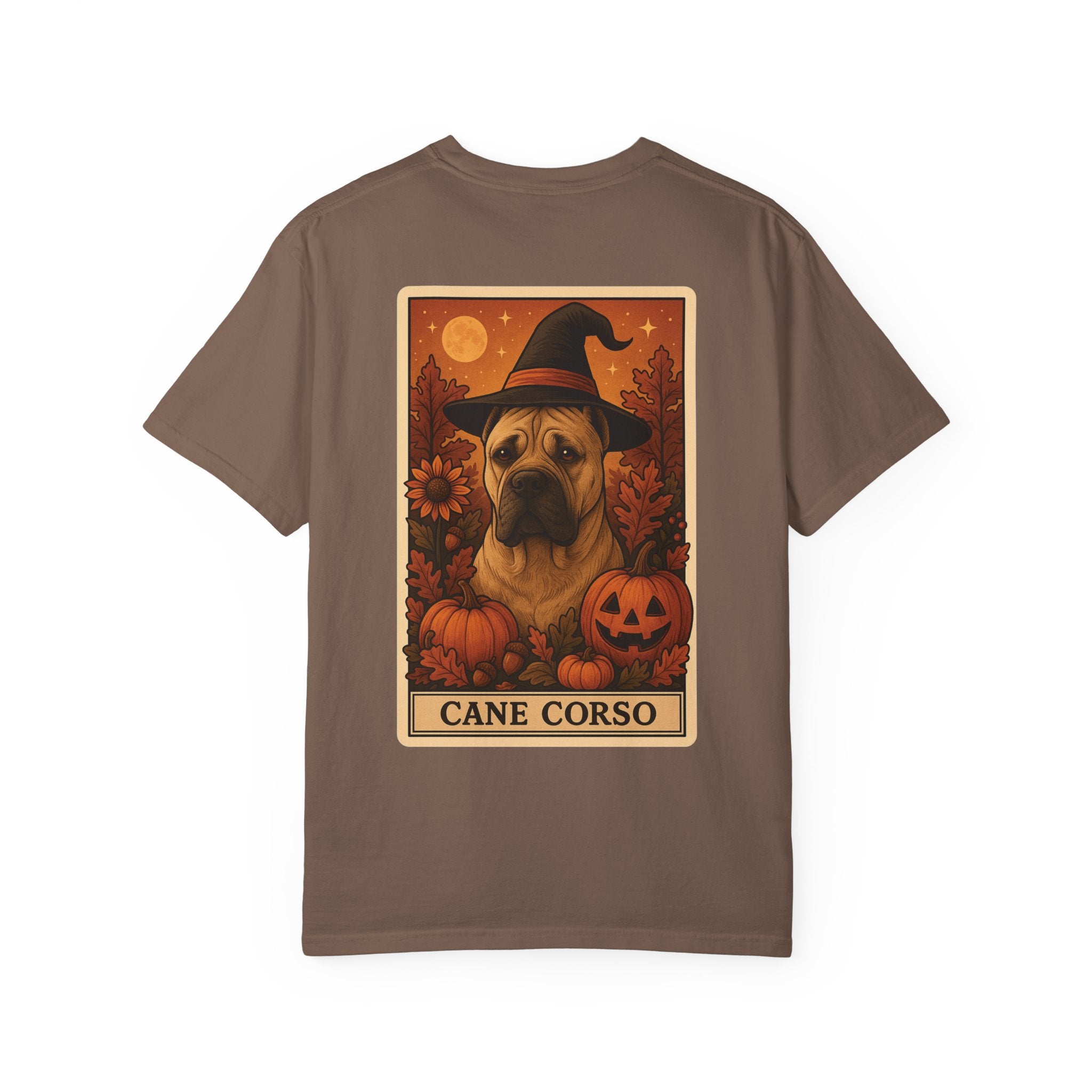 Copy of Unisex Garment-Dyed T-shirt