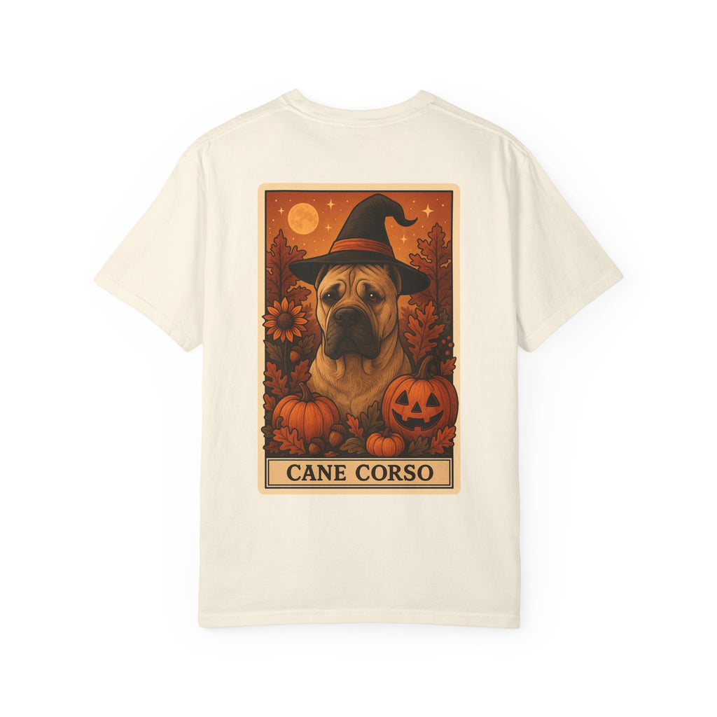 Copy of Unisex Garment-Dyed T-shirt