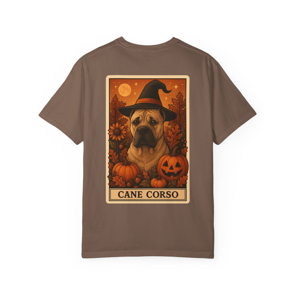 Copy of Unisex Garment-Dyed T-shirt