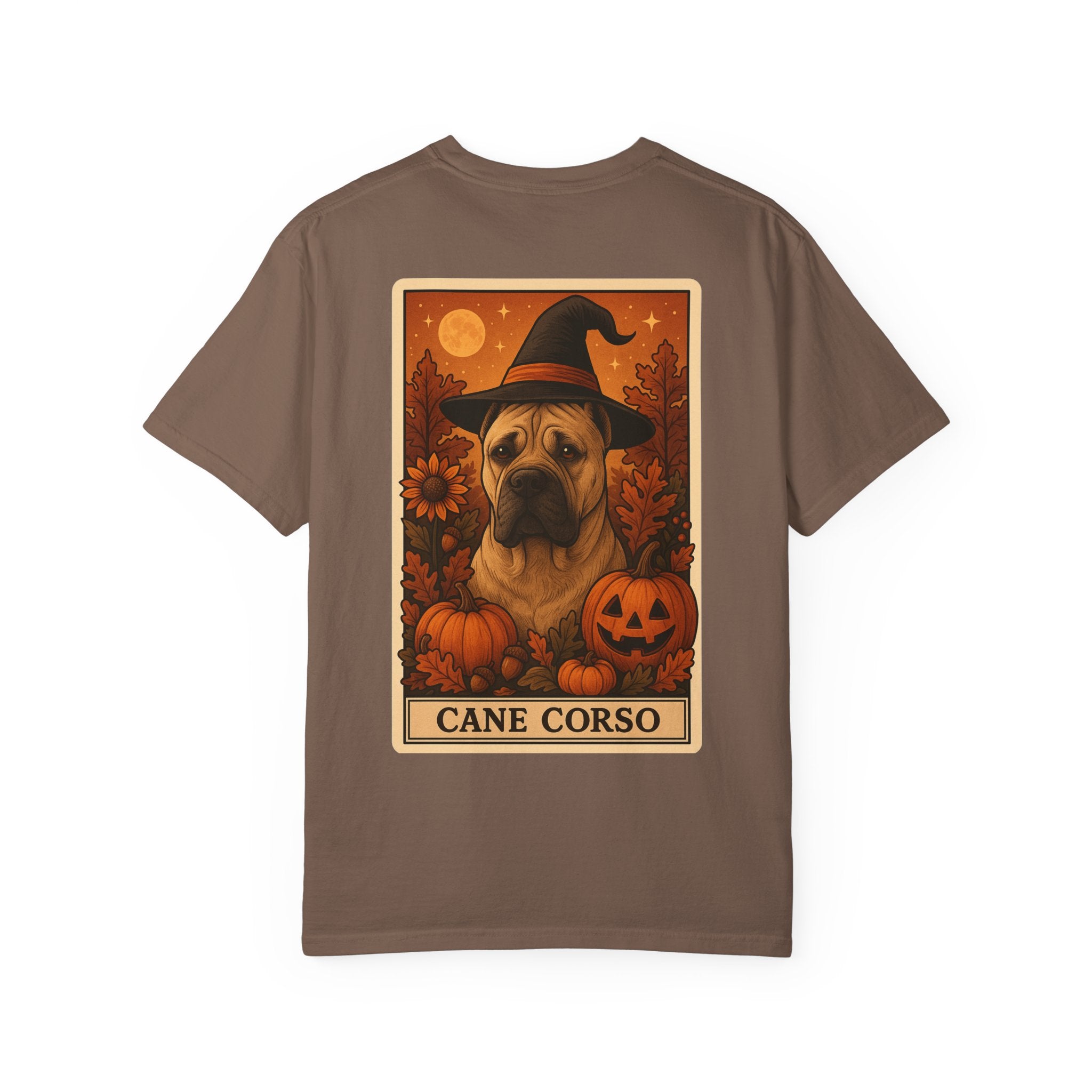 Copy of Unisex Garment-Dyed T-shirt