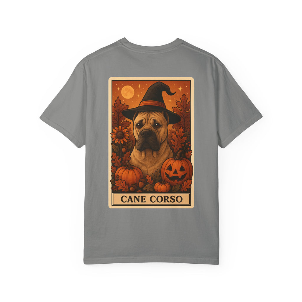 Copy of Unisex Garment-Dyed T-shirt