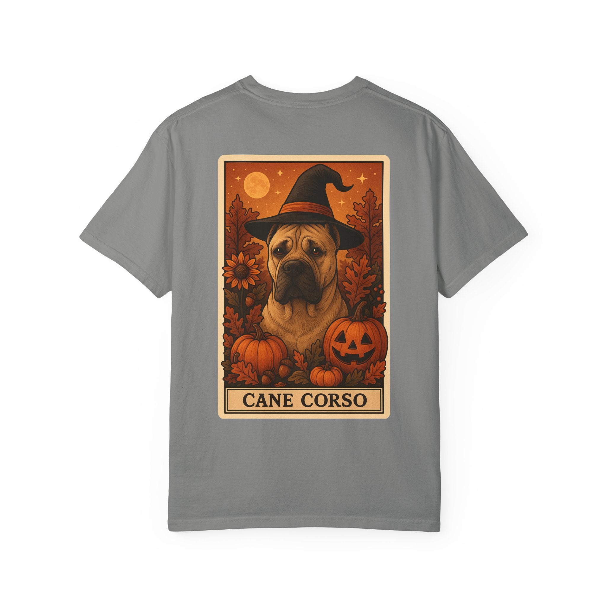 Copy of Unisex Garment-Dyed T-shirt