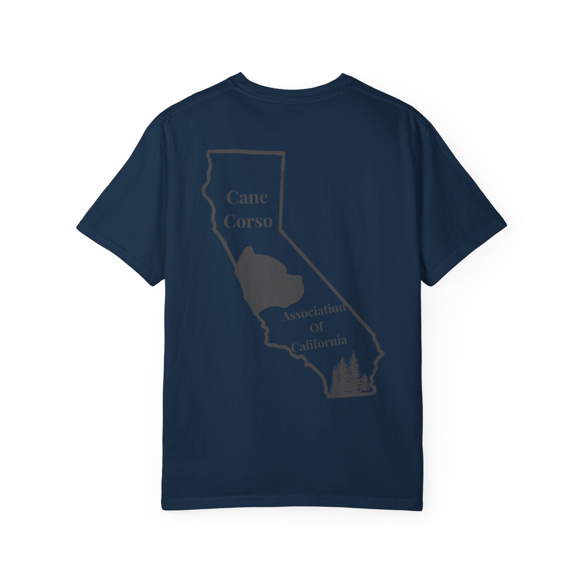 Copy of Unisex Garment-Dyed T-shirt