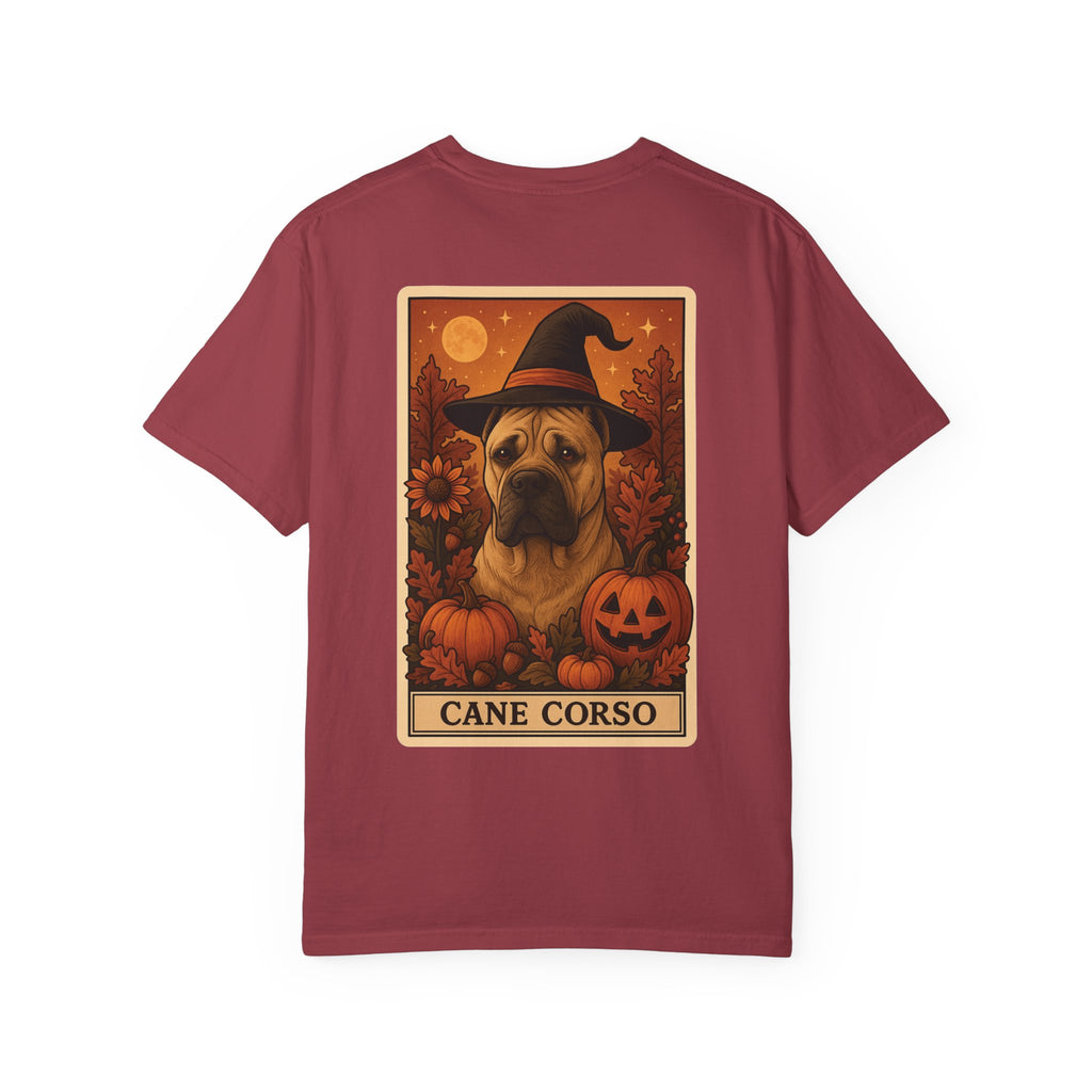 Copy of Unisex Garment-Dyed T-shirt