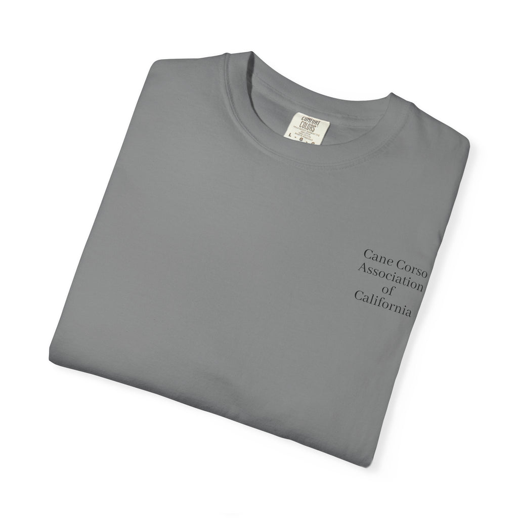Copy of Unisex Garment-Dyed T-shirt