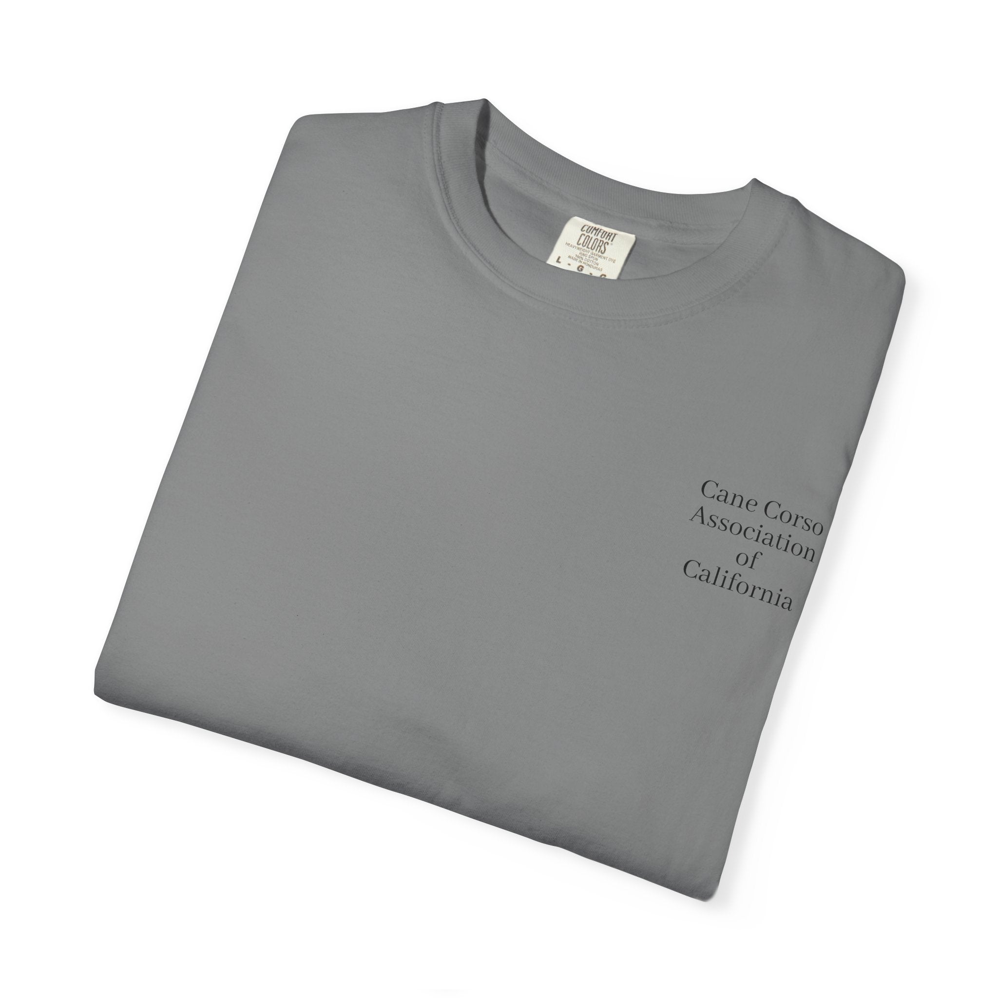 Copy of Unisex Garment-Dyed T-shirt