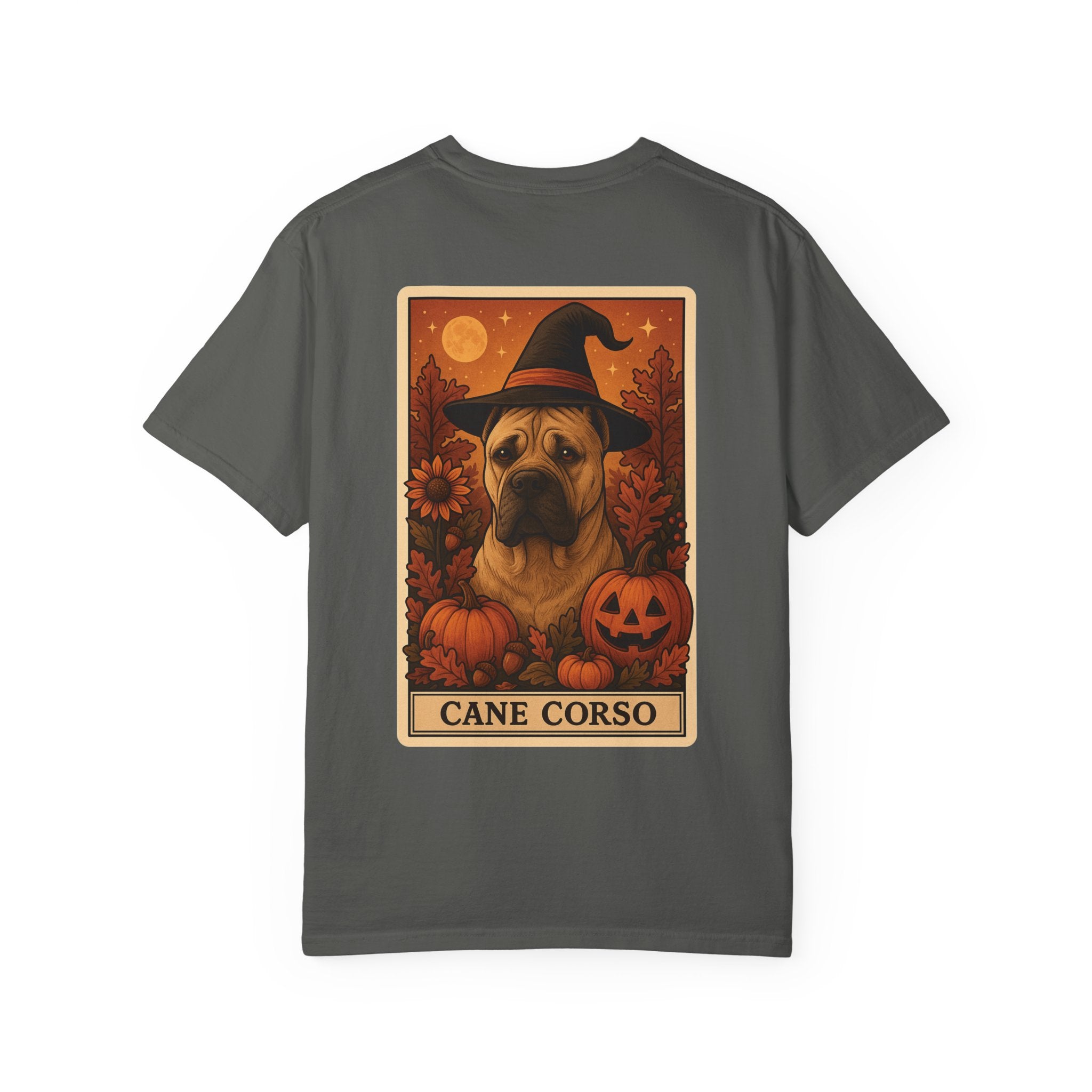 Copy of Unisex Garment-Dyed T-shirt