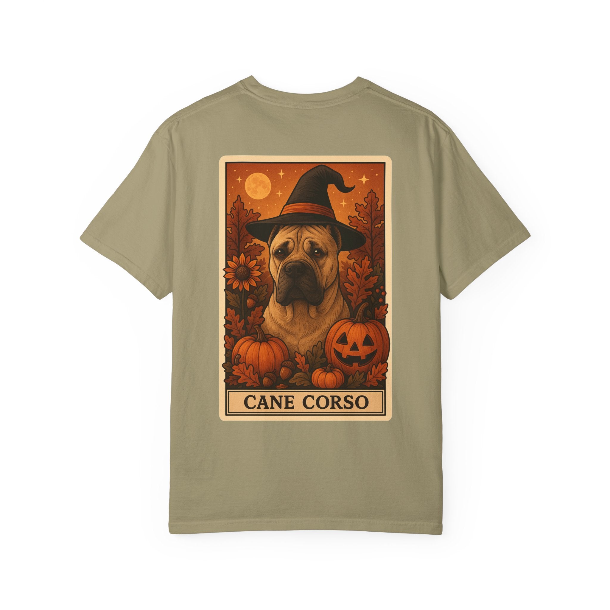 Copy of Unisex Garment-Dyed T-shirt