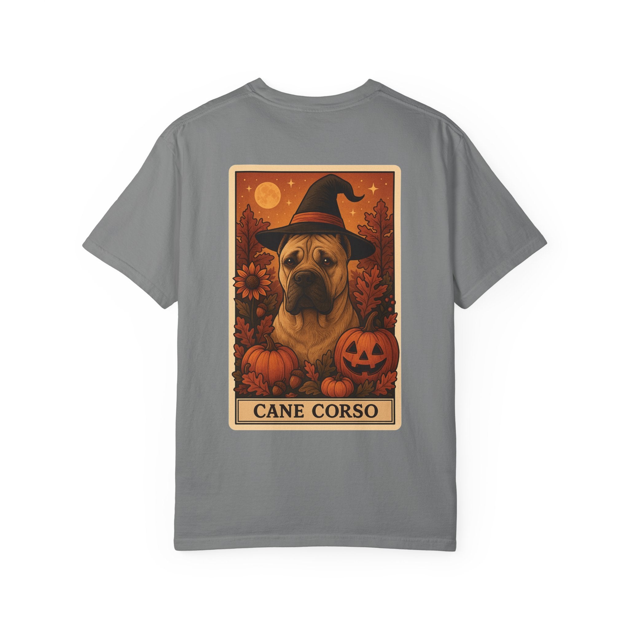 Copy of Unisex Garment-Dyed T-shirt