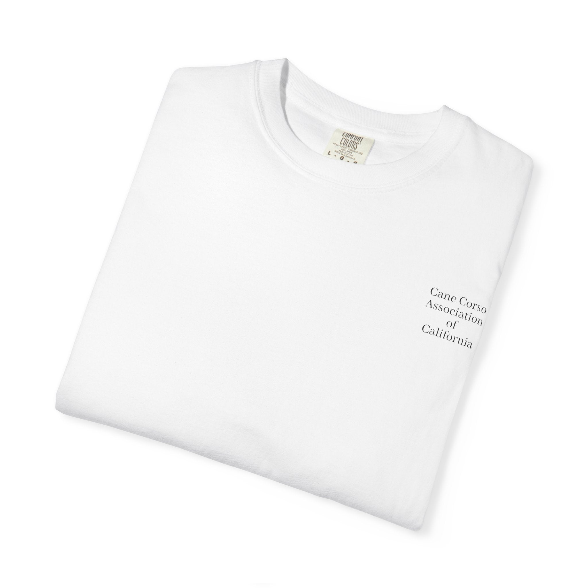 Copy of Unisex Garment-Dyed T-shirt
