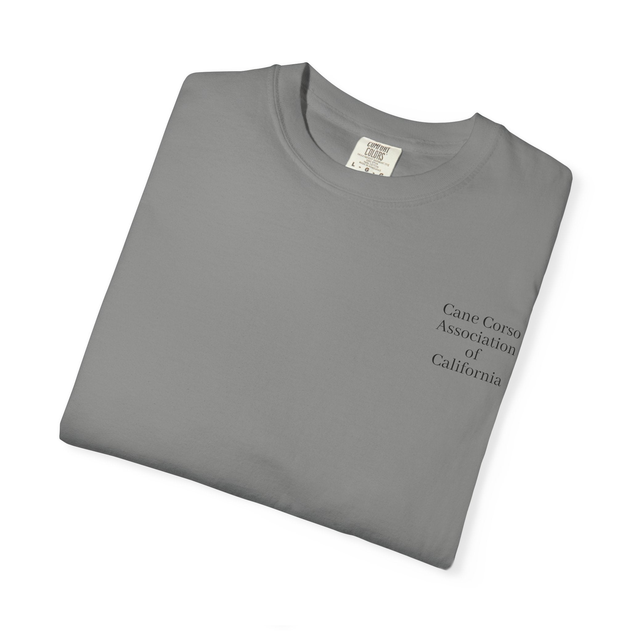 Copy of Unisex Garment-Dyed T-shirt
