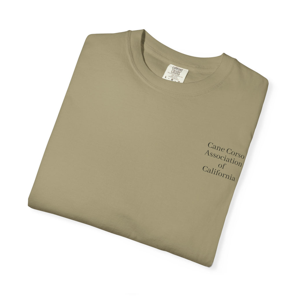 Copy of Unisex Garment-Dyed T-shirt
