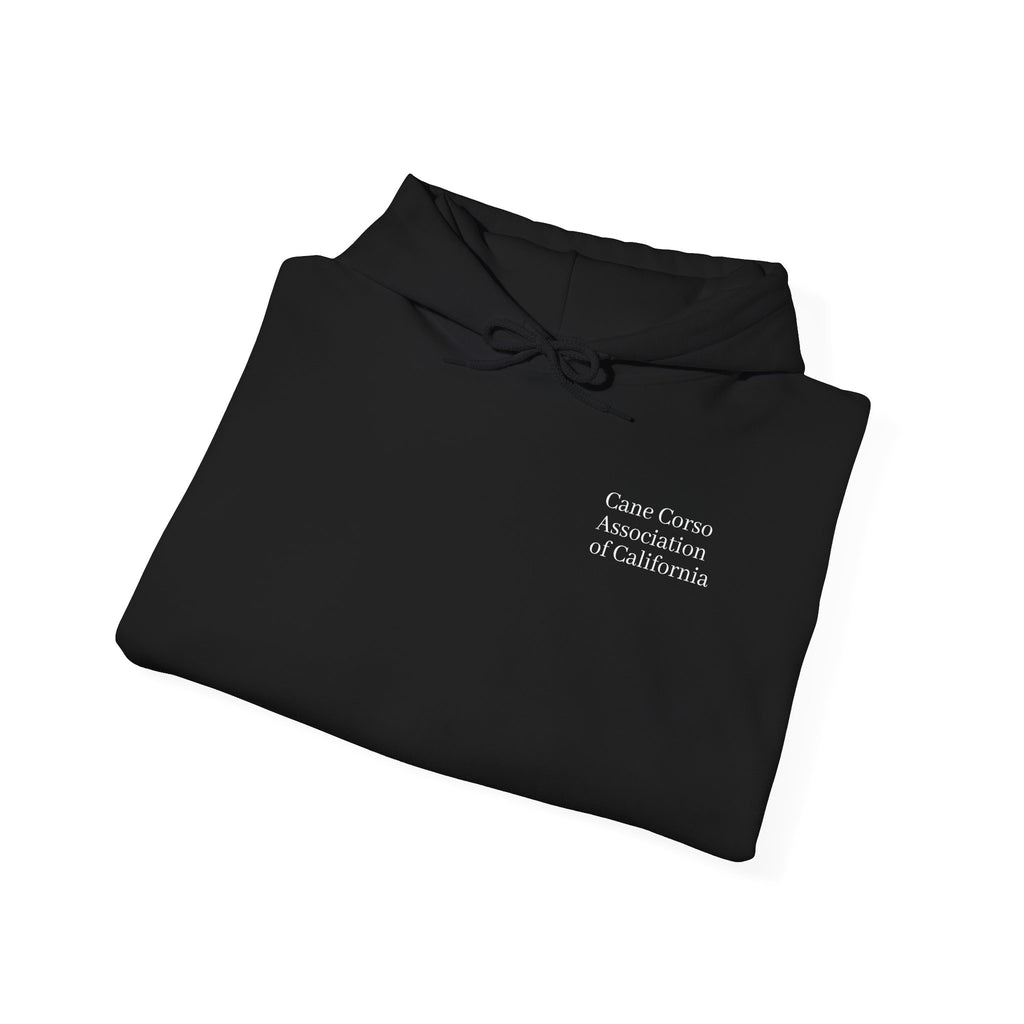 Copy of Unisex Heavy Blend™ Hooded Sweatshirt