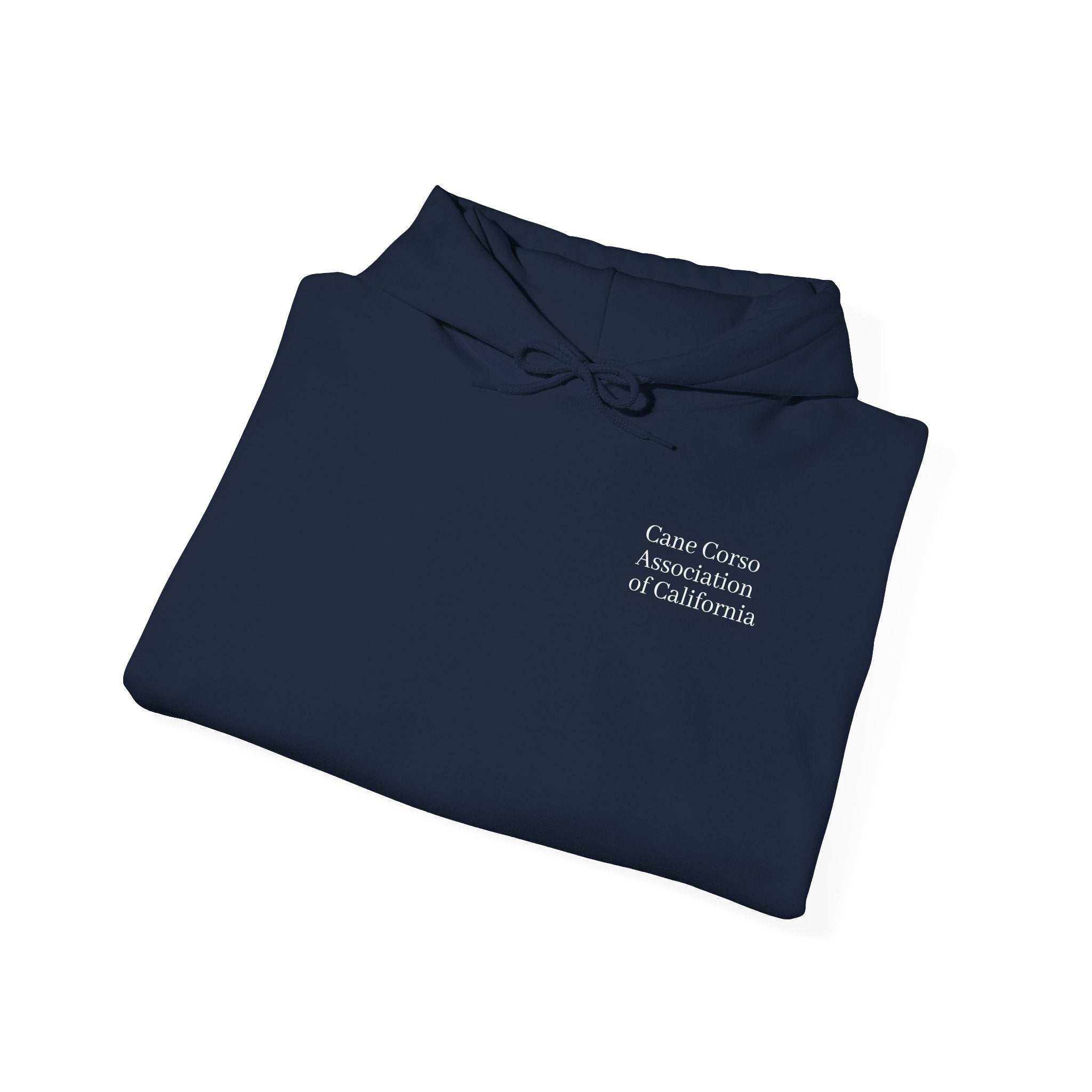 Copy of Unisex Heavy Blend™ Hooded Sweatshirt
