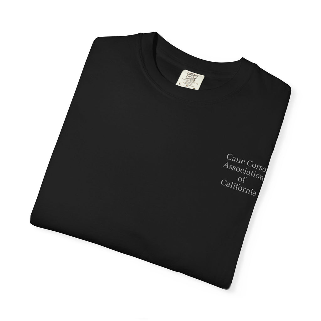 Copy of Unisex Garment-Dyed T-shirt