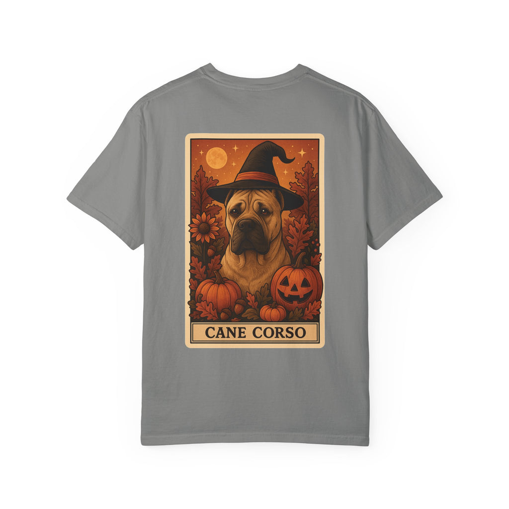 Copy of Unisex Garment-Dyed T-shirt