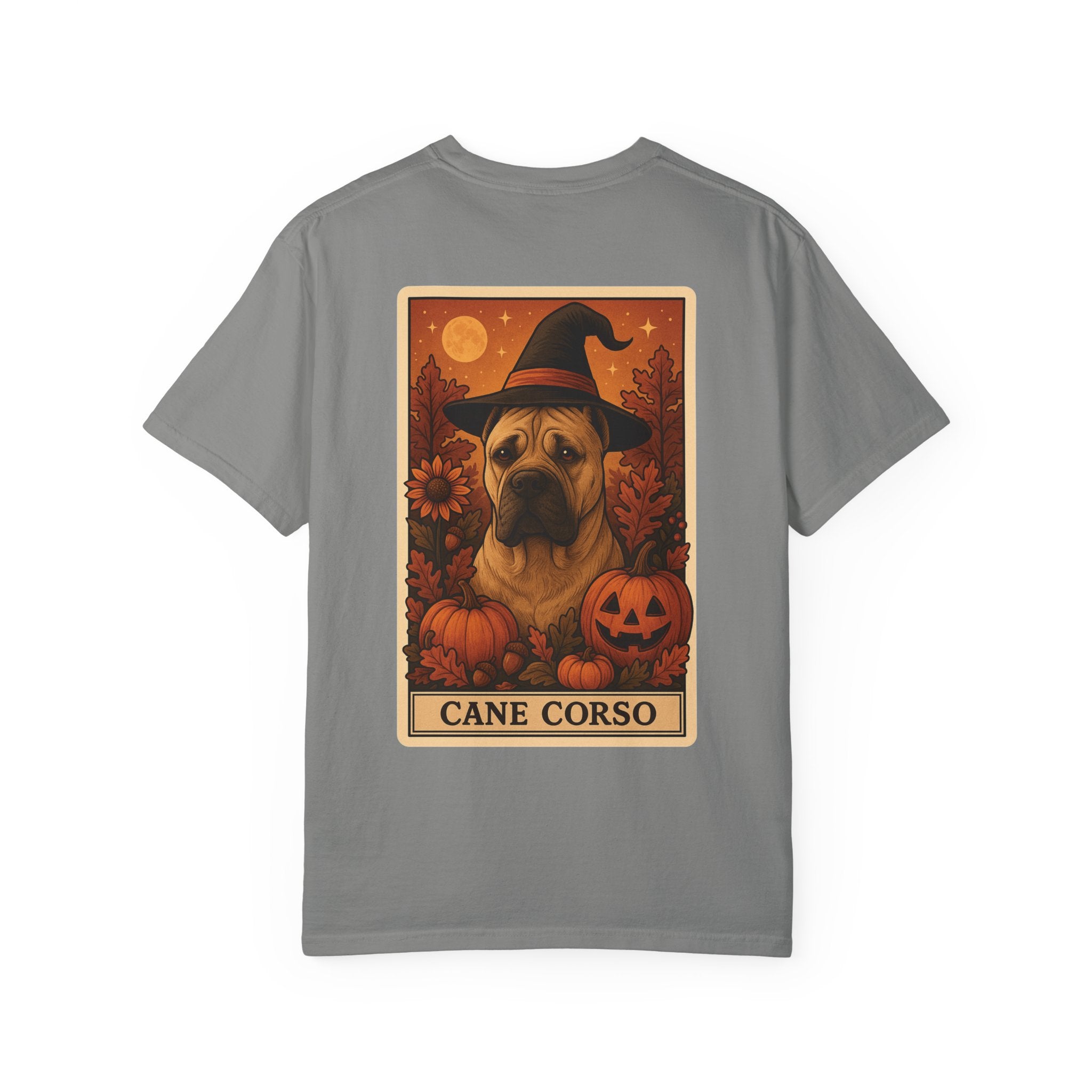 Copy of Unisex Garment-Dyed T-shirt