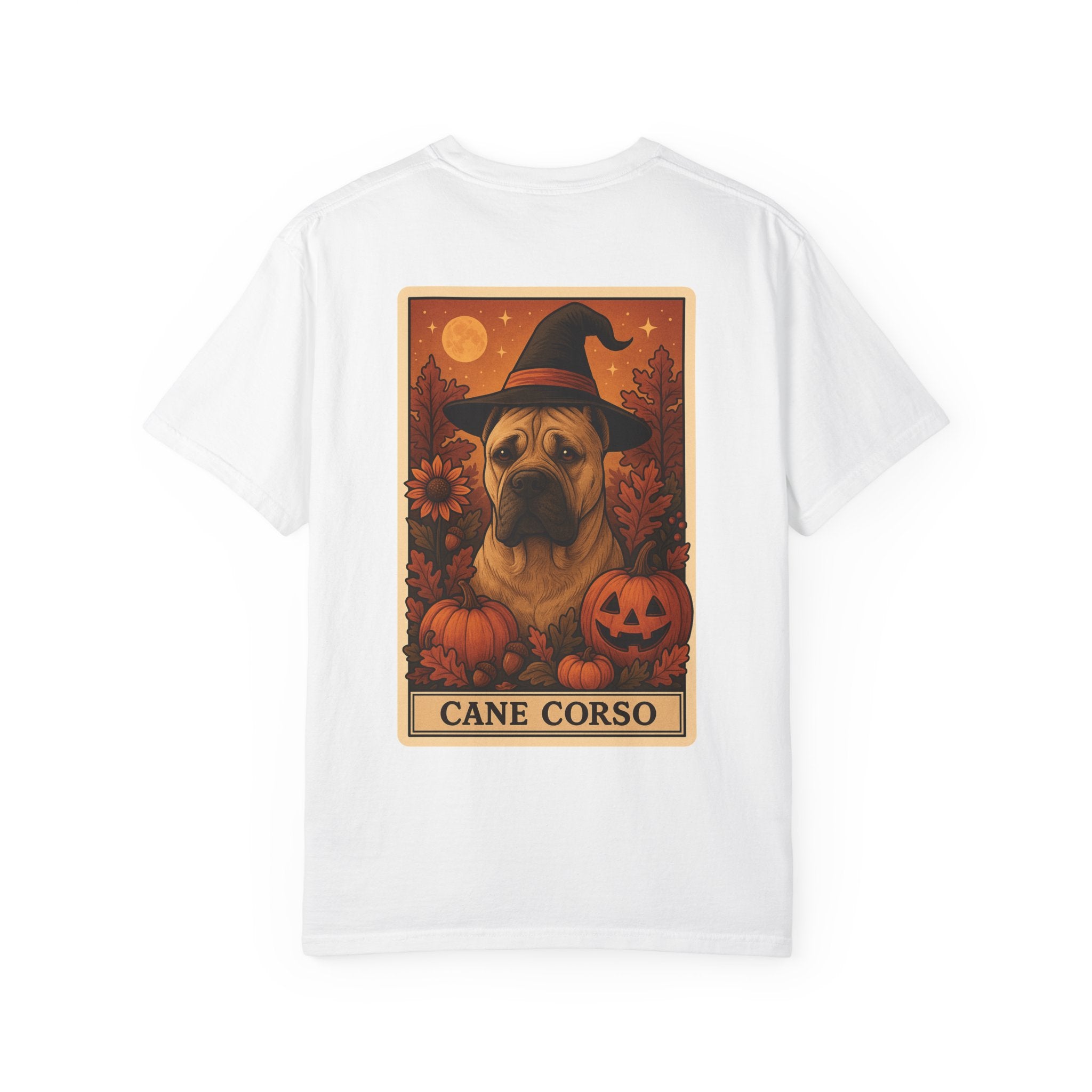 Copy of Unisex Garment-Dyed T-shirt