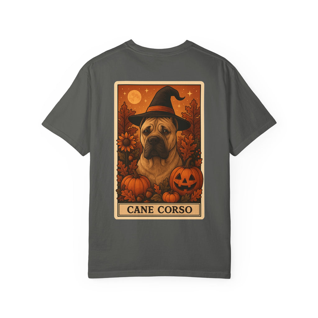 Copy of Unisex Garment-Dyed T-shirt
