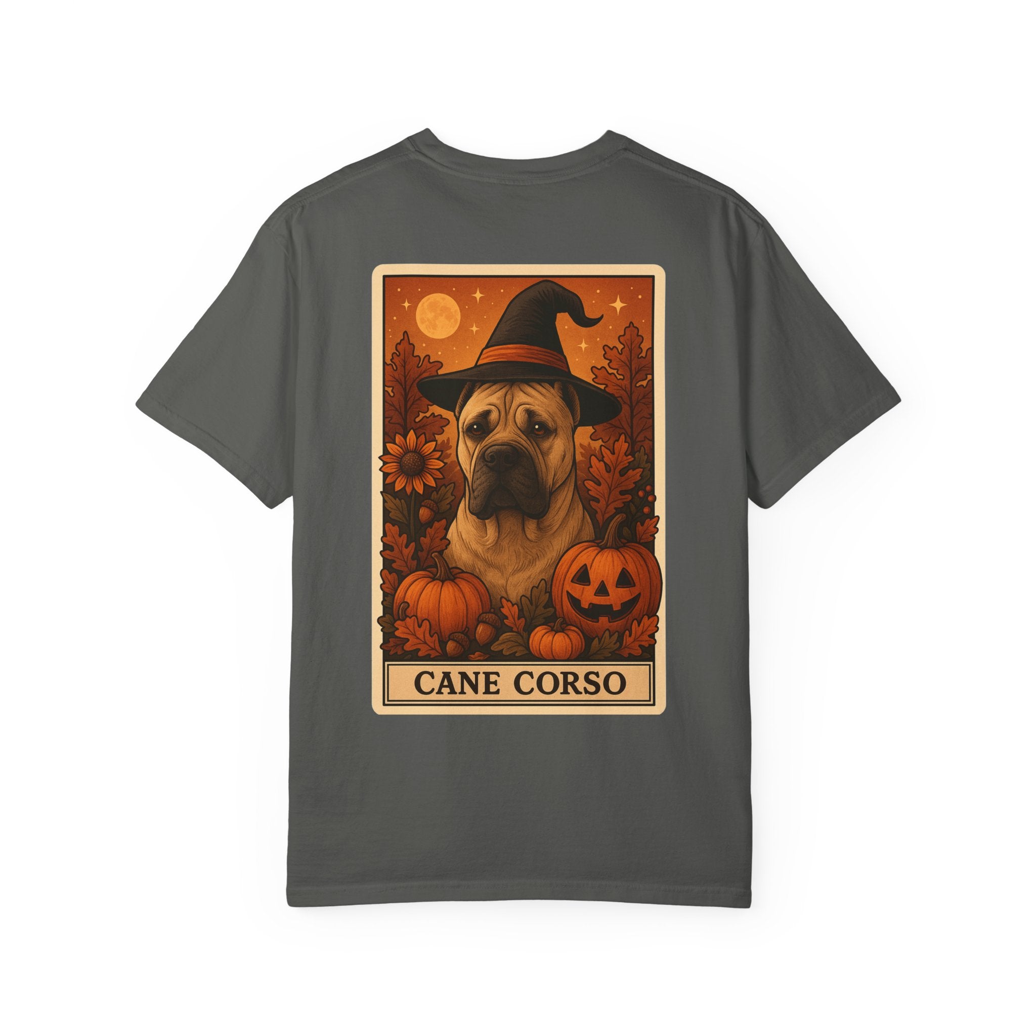 Copy of Unisex Garment-Dyed T-shirt