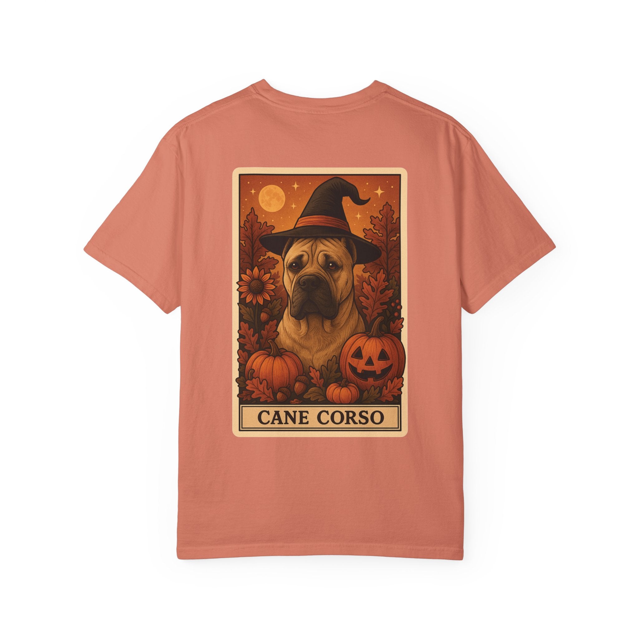 Copy of Unisex Garment-Dyed T-shirt