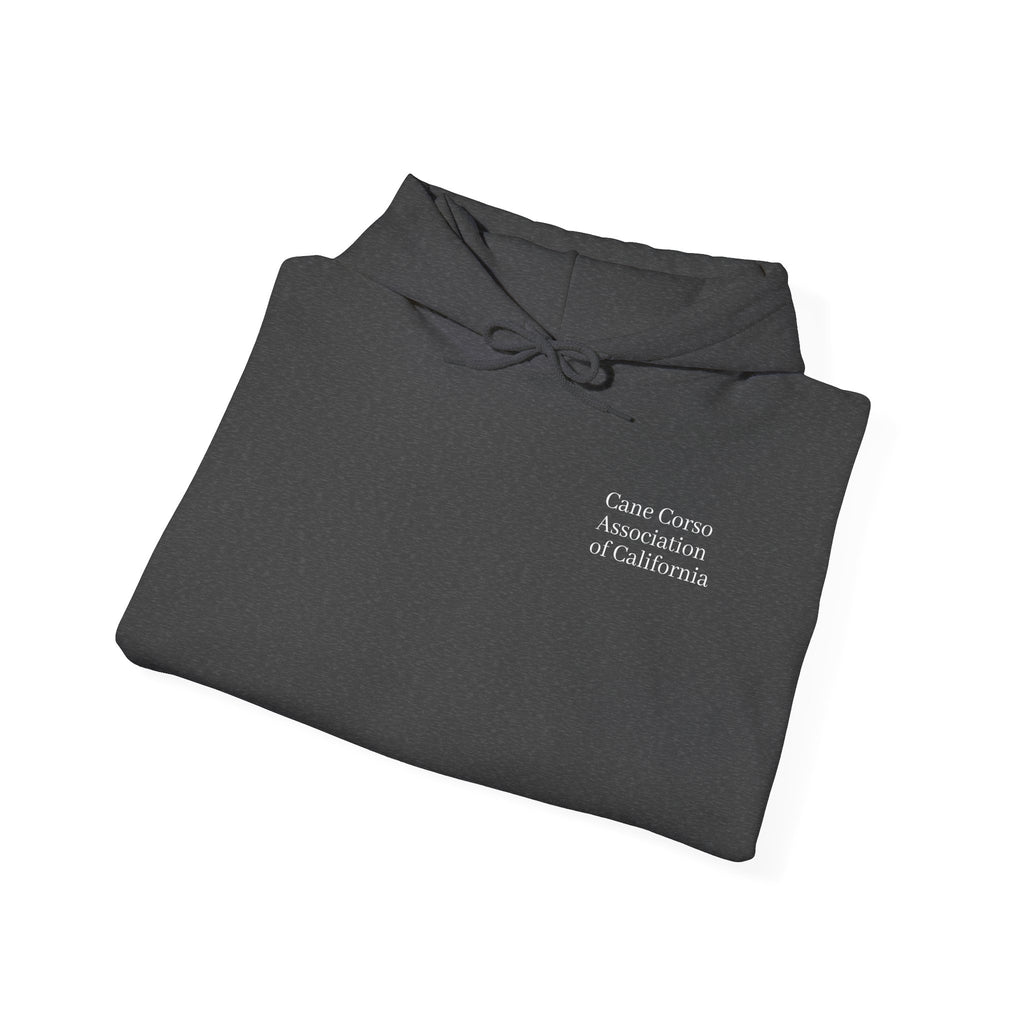 Copy of Unisex Heavy Blend™ Hooded Sweatshirt