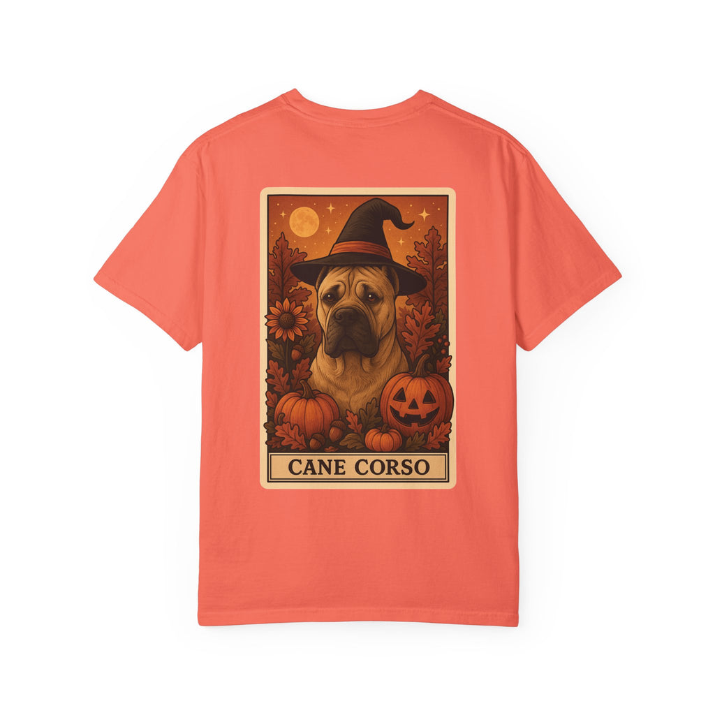 Copy of Unisex Garment-Dyed T-shirt