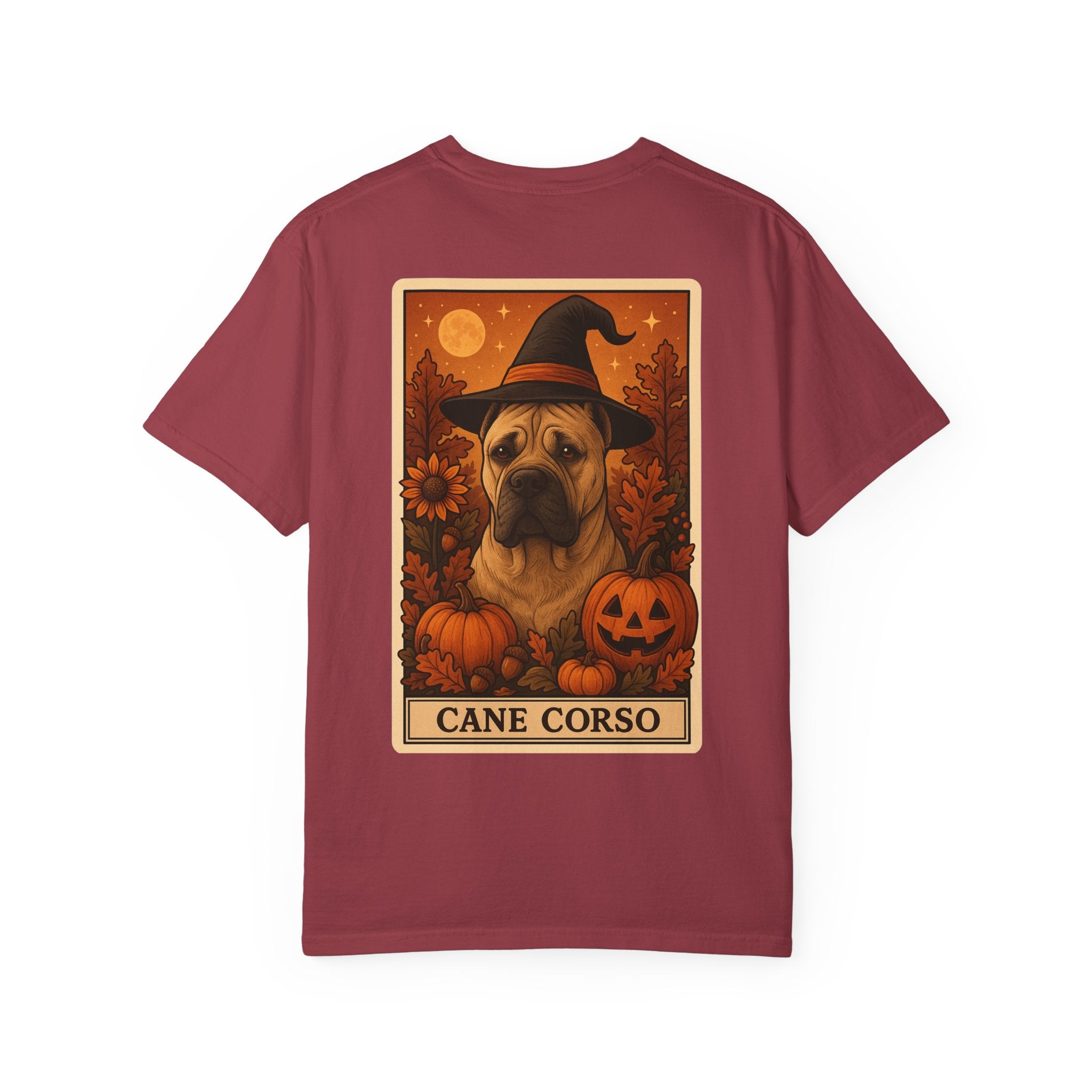 Copy of Unisex Garment-Dyed T-shirt