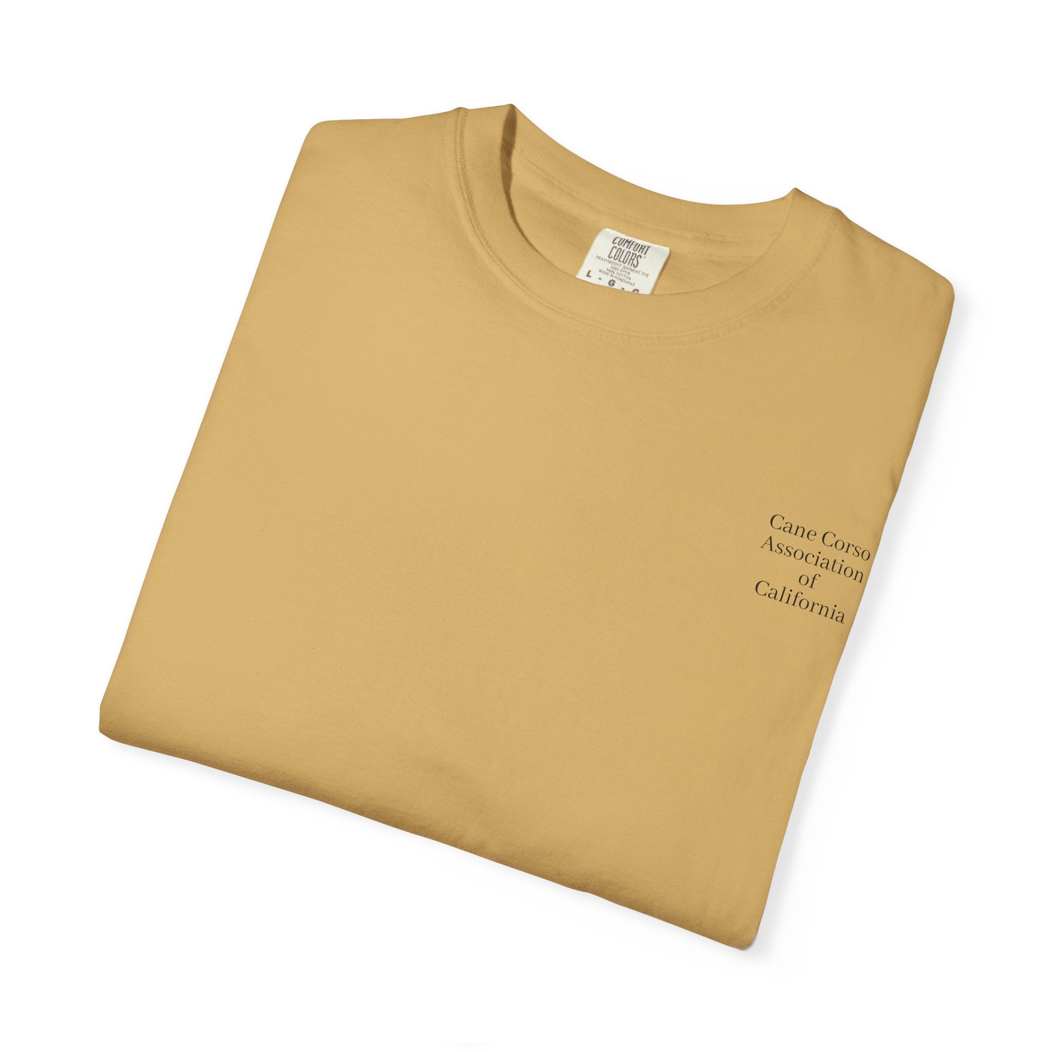 Copy of Unisex Garment-Dyed T-shirt