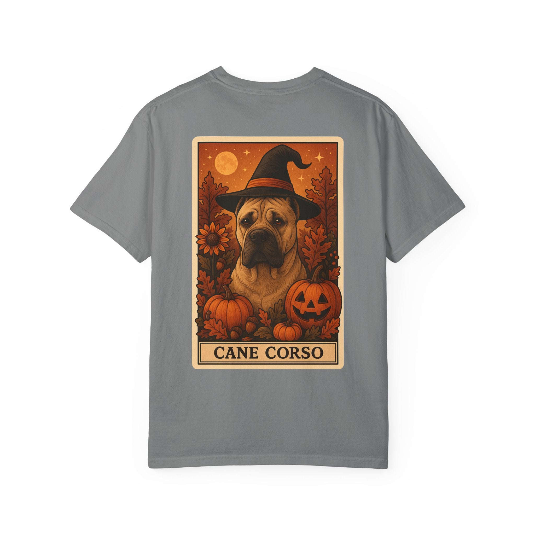 Copy of Unisex Garment-Dyed T-shirt