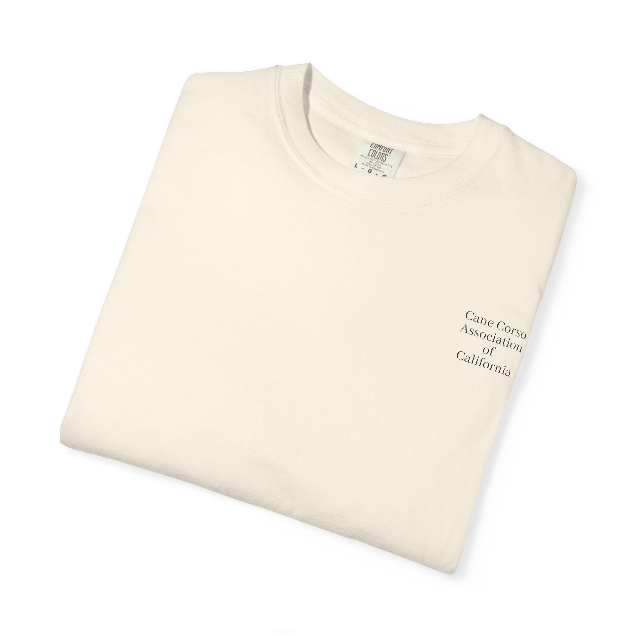 Copy of Unisex Garment-Dyed T-shirt
