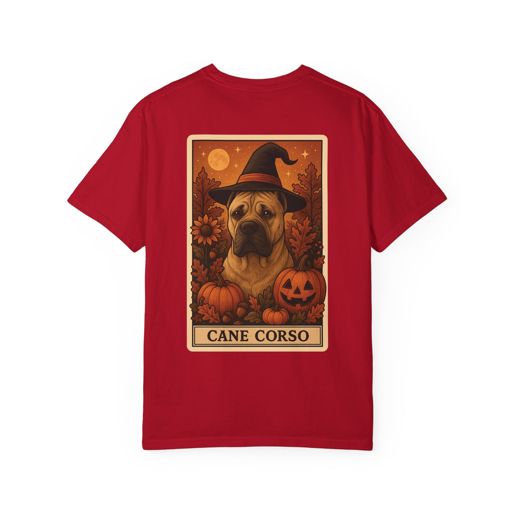 Copy of Unisex Garment-Dyed T-shirt