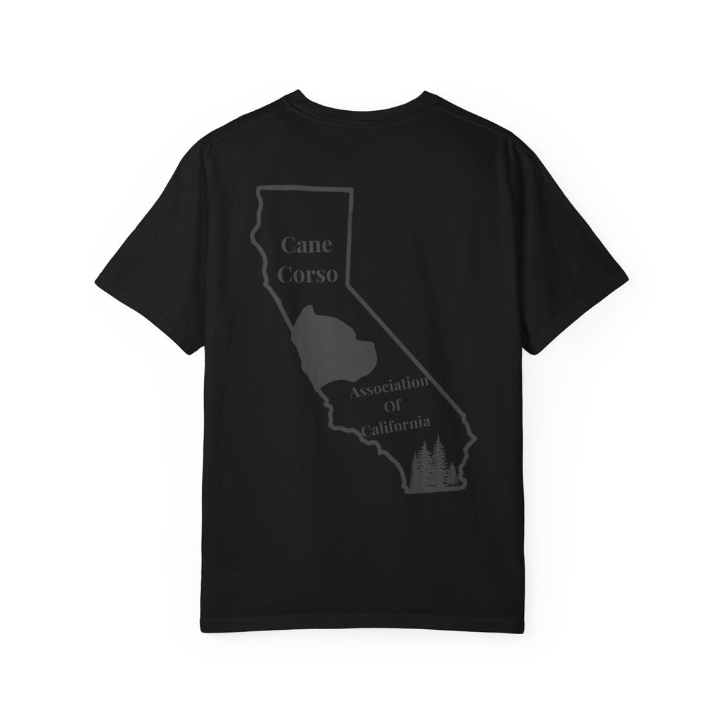 Copy of Unisex Garment-Dyed T-shirt