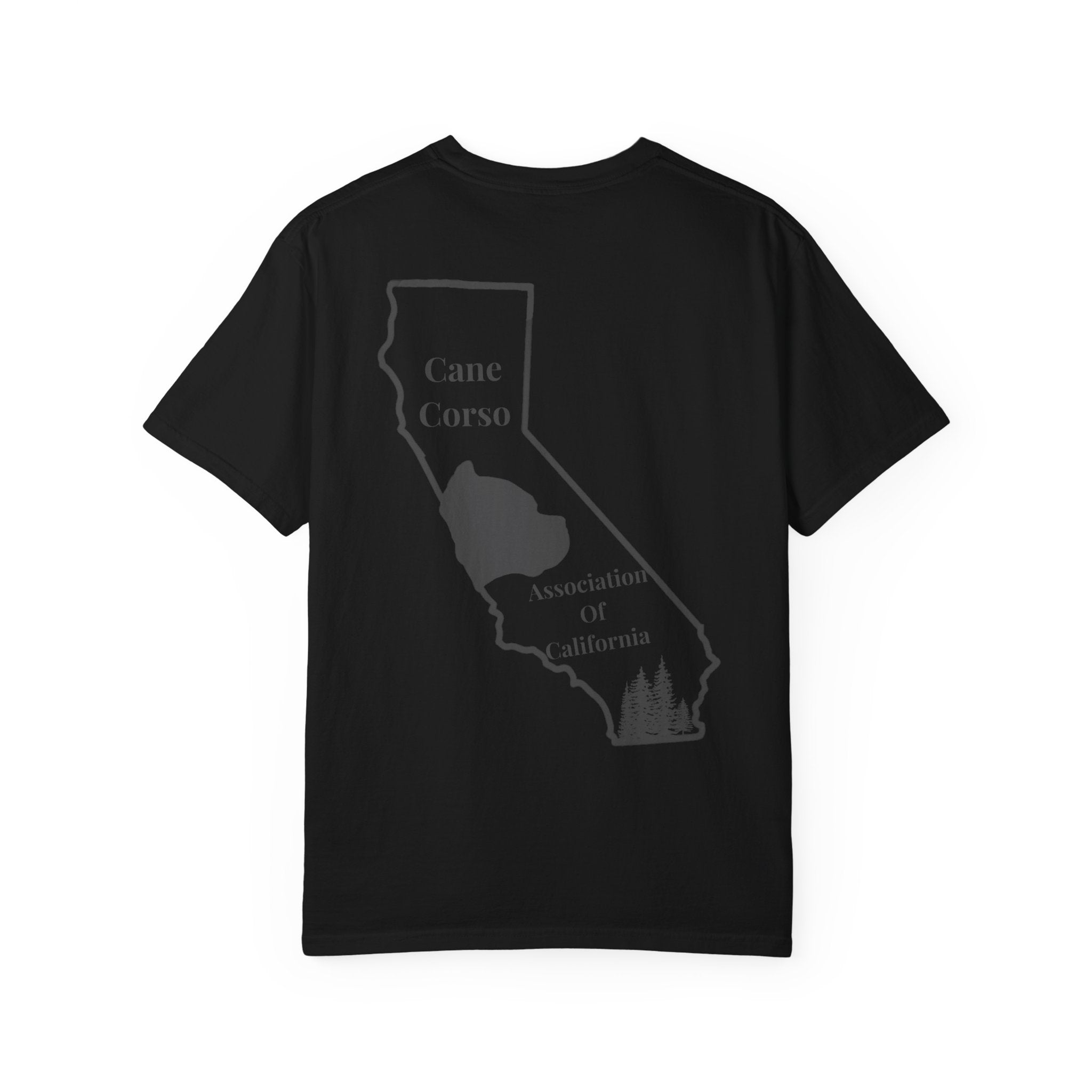 Copy of Unisex Garment-Dyed T-shirt