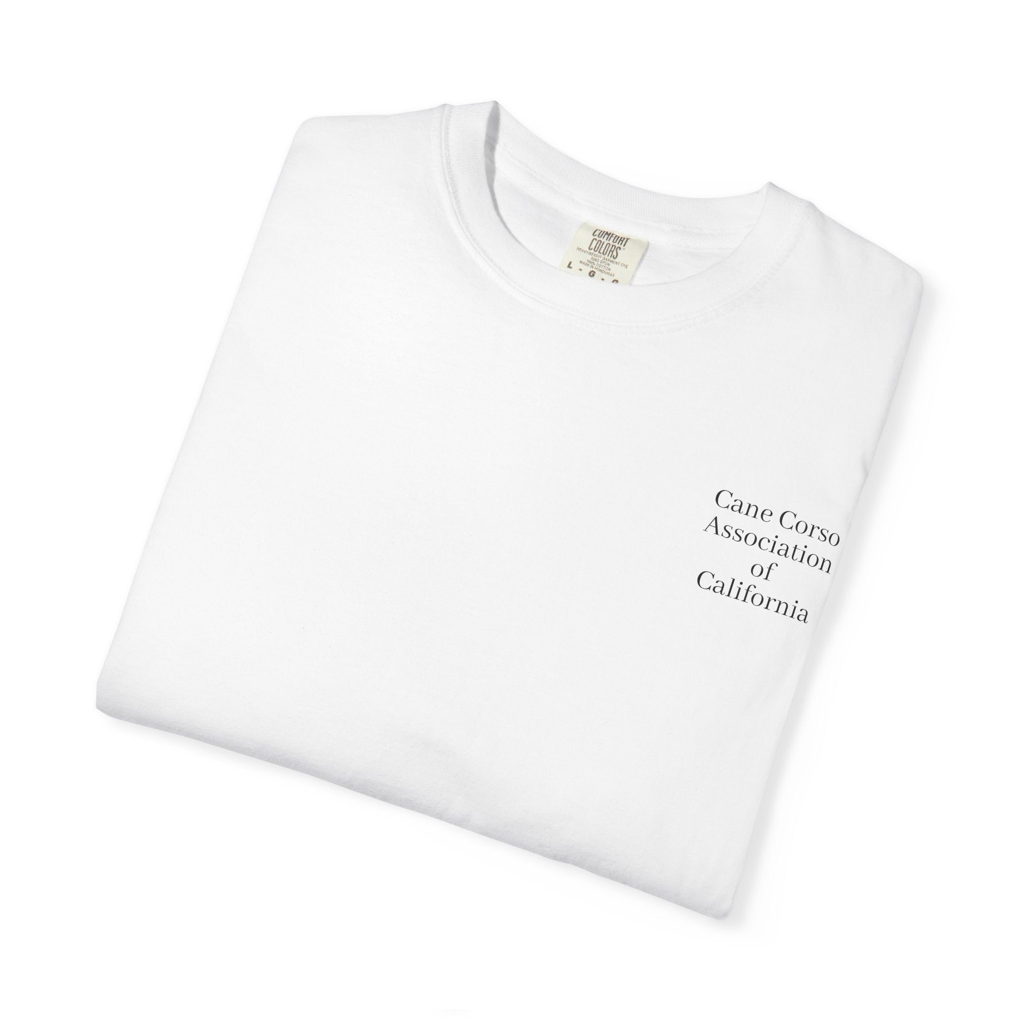 Copy of Unisex Garment-Dyed T-shirt
