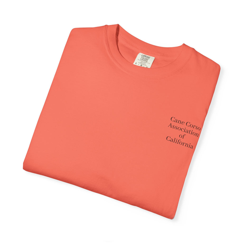Copy of Unisex Garment-Dyed T-shirt
