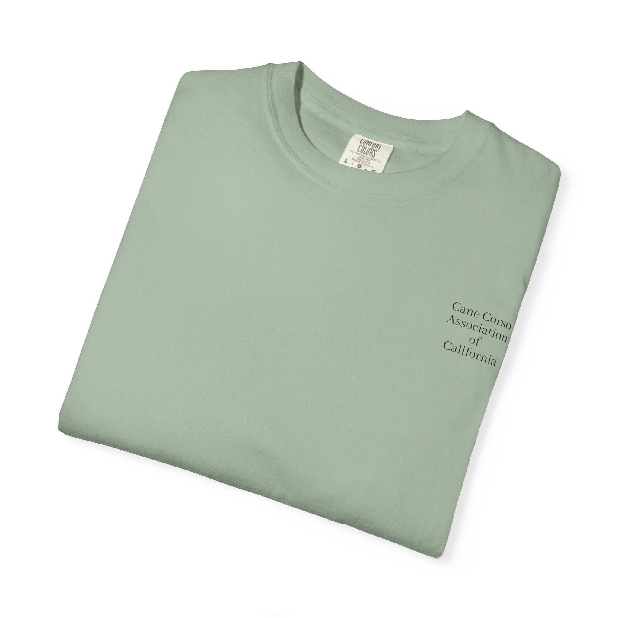 Copy of Unisex Garment-Dyed T-shirt