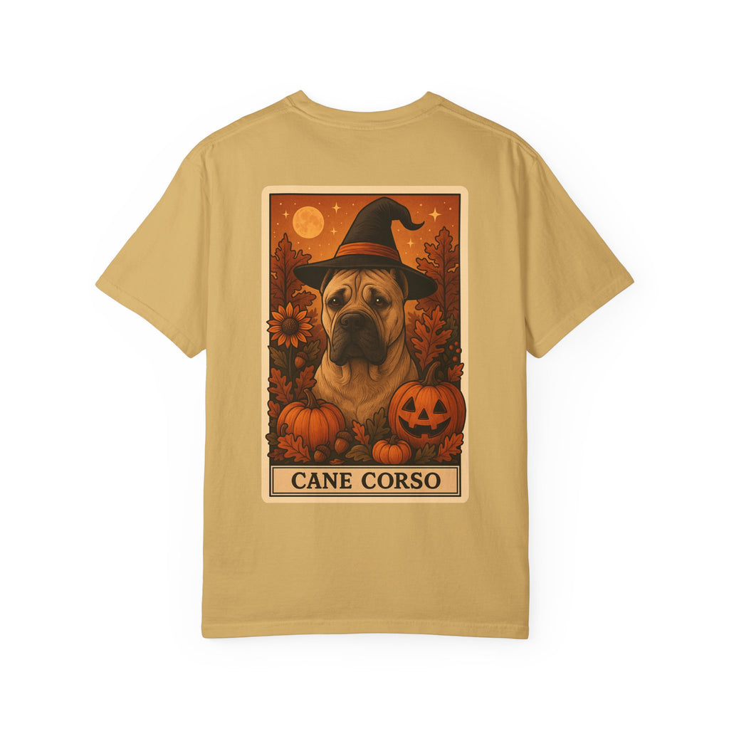 Copy of Unisex Garment-Dyed T-shirt