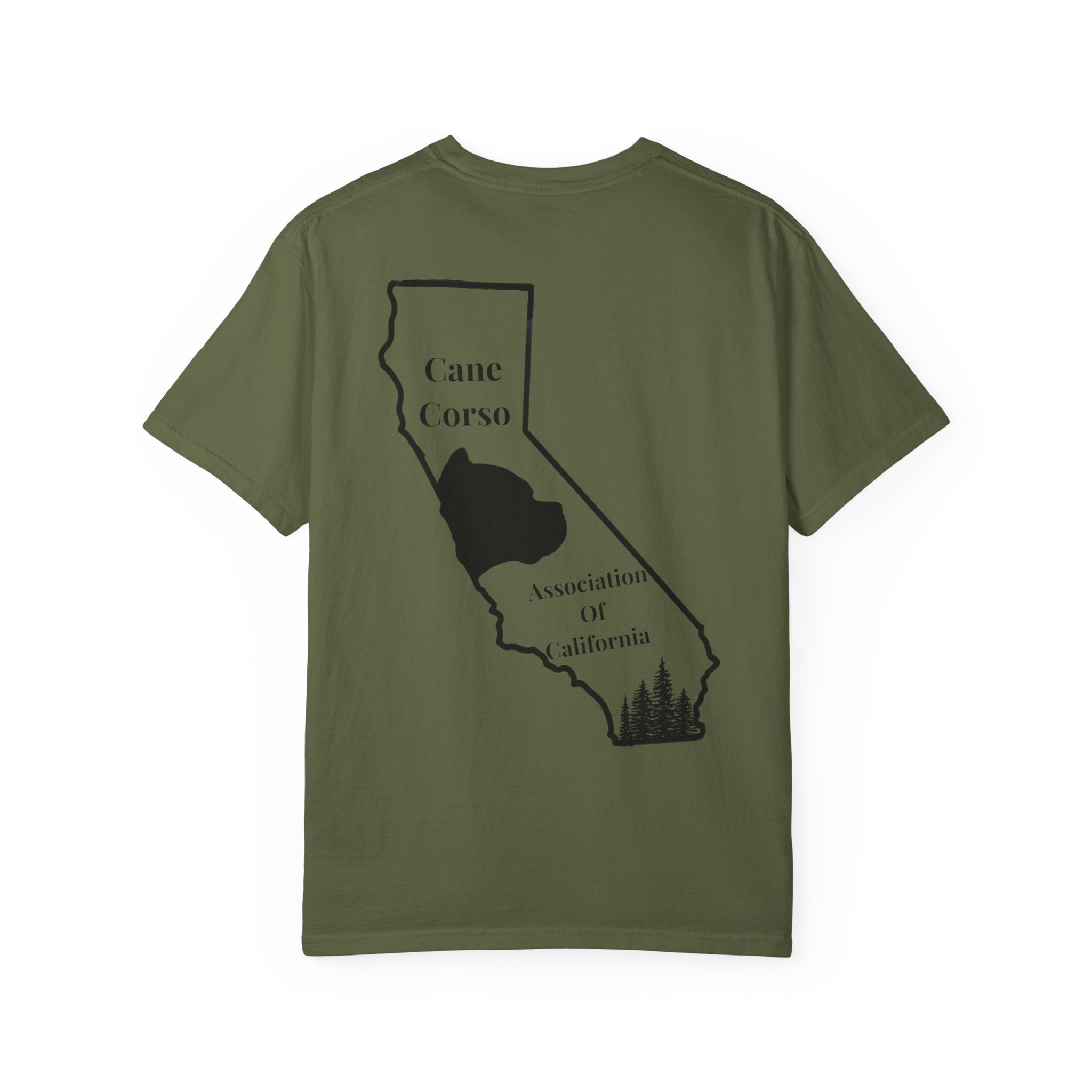 Unisex Garment-Dyed T-shirt