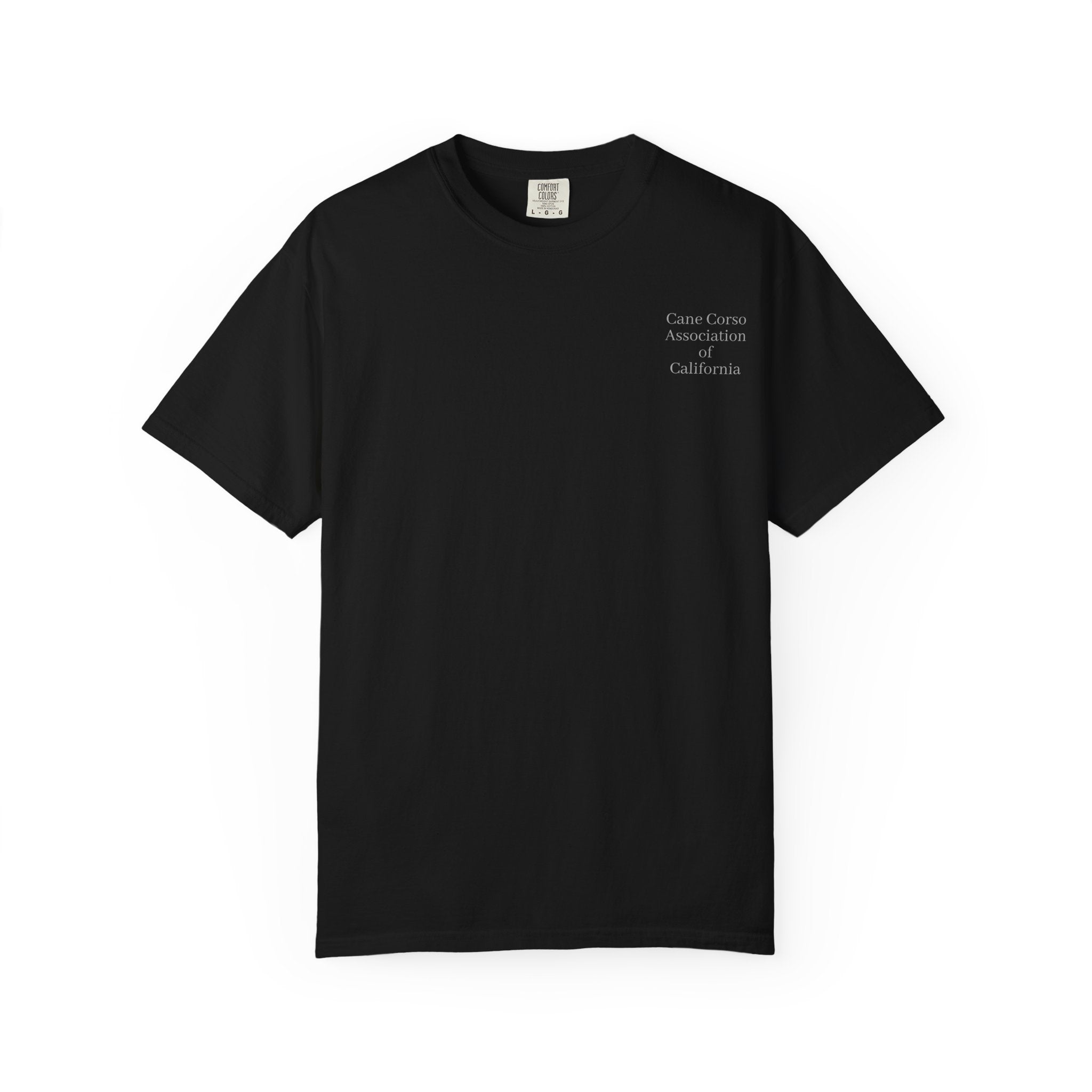 Copy of Unisex Garment-Dyed T-shirt