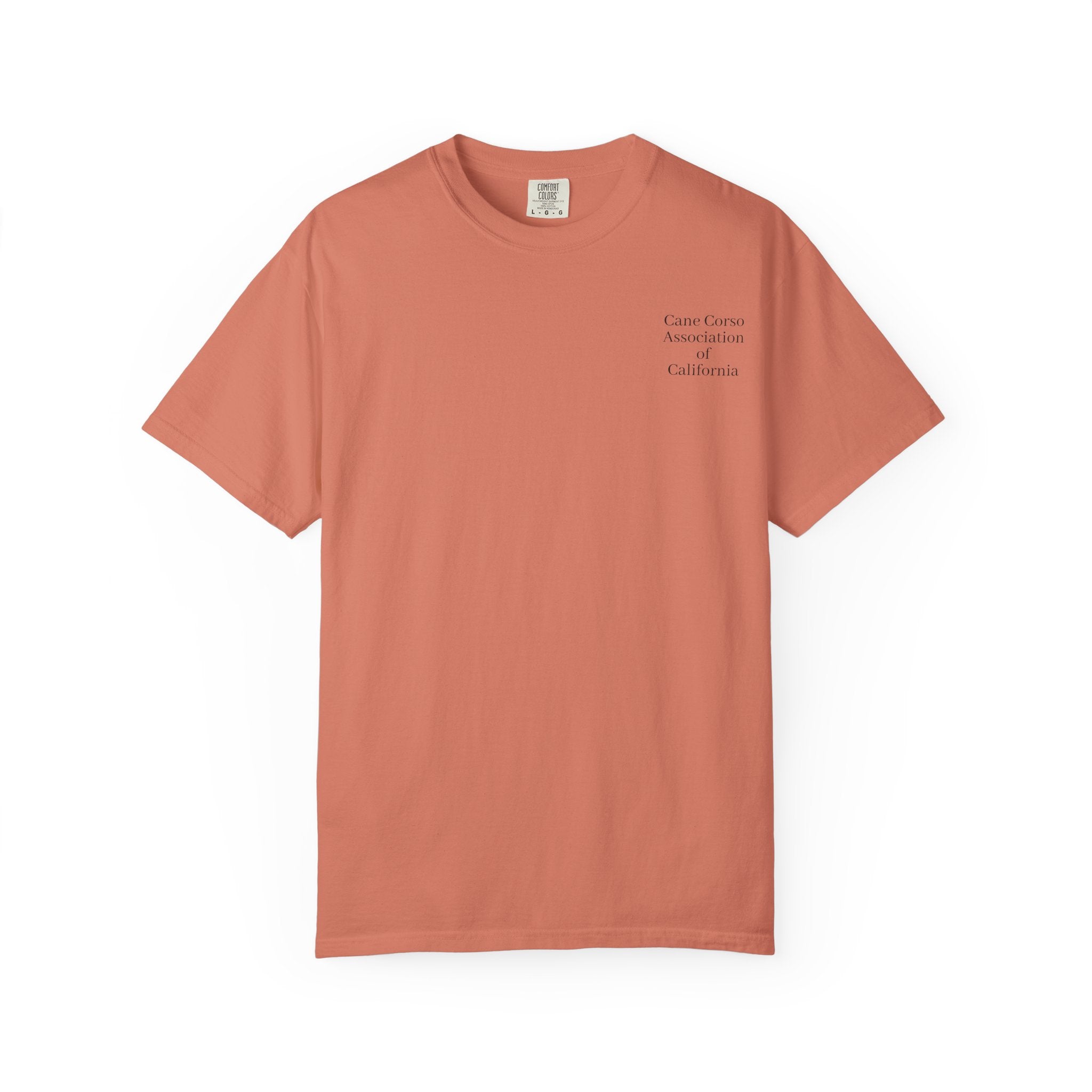 Copy of Unisex Garment-Dyed T-shirt