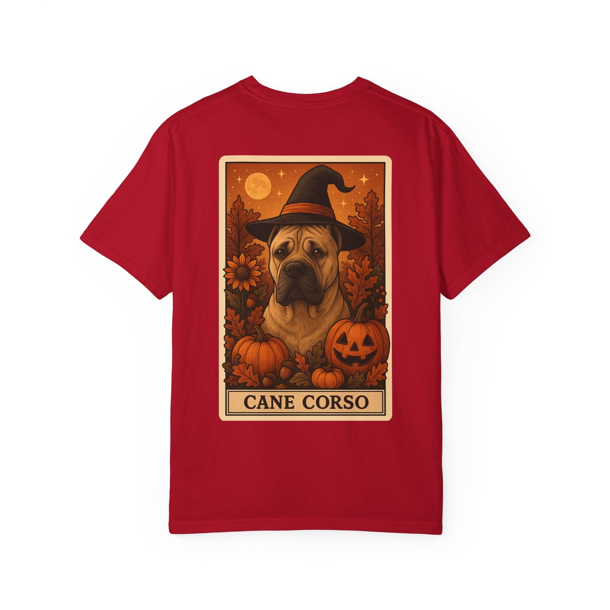 Copy of Unisex Garment-Dyed T-shirt