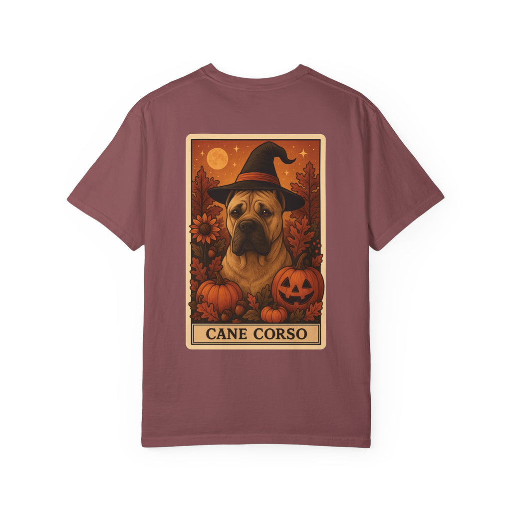 Copy of Unisex Garment-Dyed T-shirt