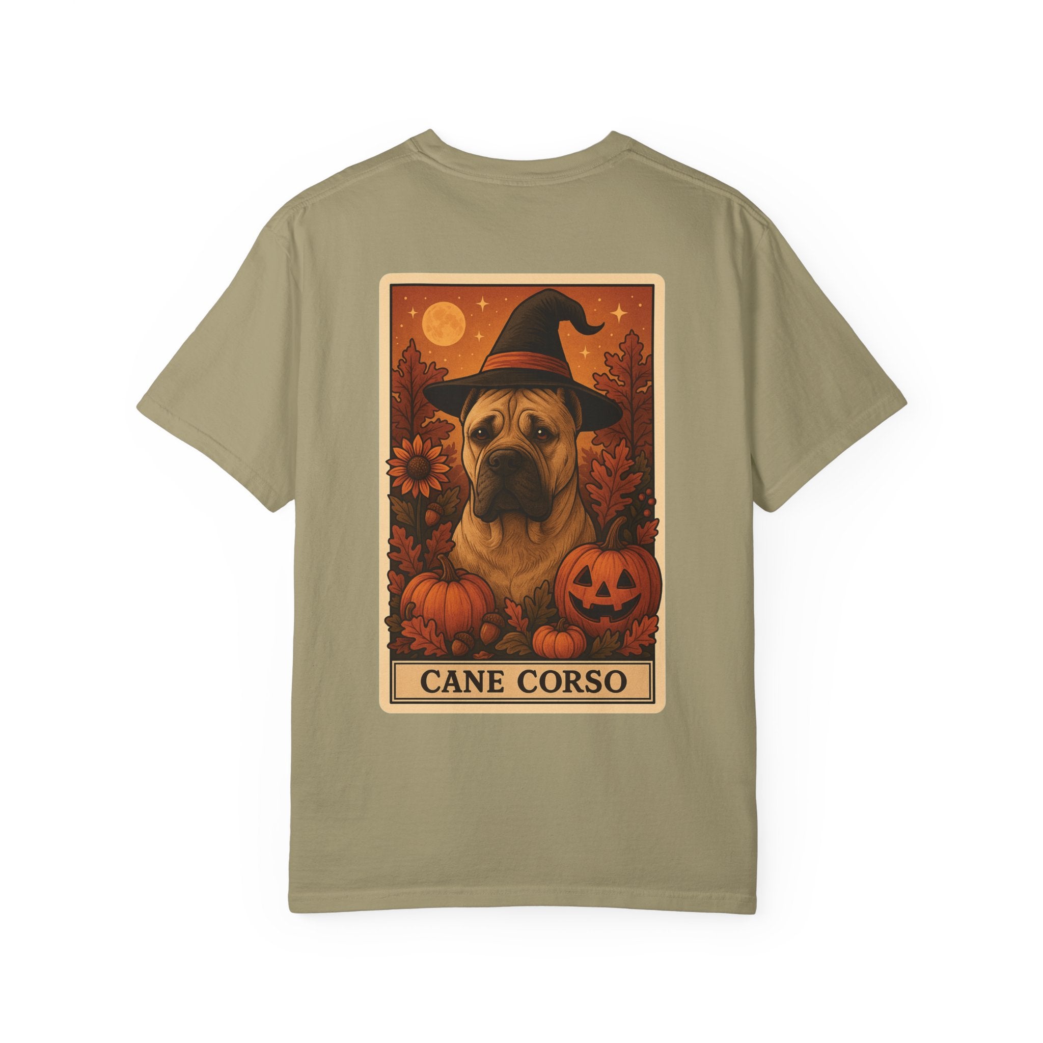 Copy of Unisex Garment-Dyed T-shirt