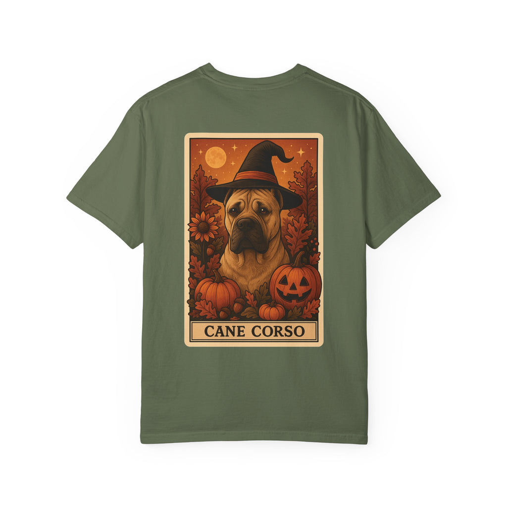 Copy of Unisex Garment-Dyed T-shirt