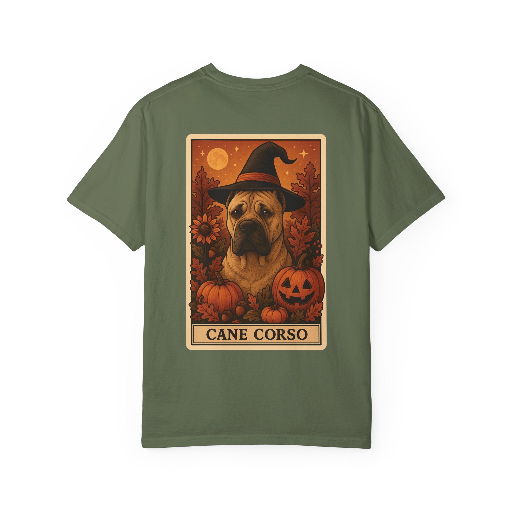 Copy of Unisex Garment-Dyed T-shirt